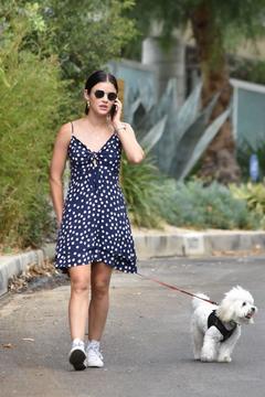 Lucy Hale shows some leg walking Elvis in Studio City