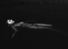 Ines Mariana Moitas nude in a water at Corrente