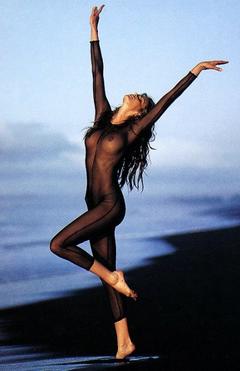 Elle Macpherson in see through outfit