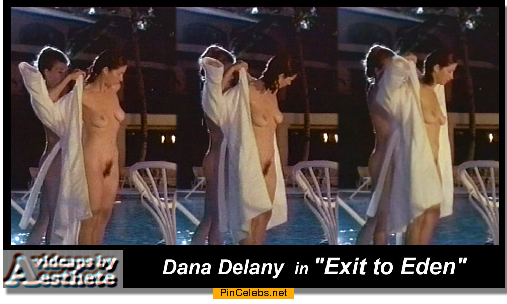 Dana Delany nude in Exit to Eden. 