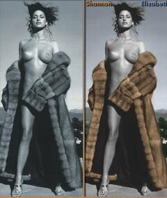 Shannon Elizabeth nude cover her pussy for Playboy magazine