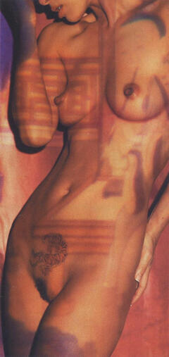 Bai Ling nude tits and pussy