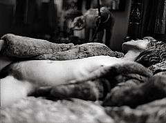 Sojourner Morrell nude tit and hairy pussy