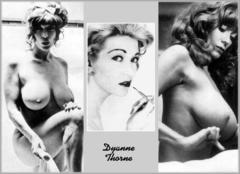 Busty Dyanne Thorne nude collage