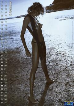 Silvia Rocca topless calendar photo