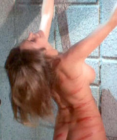 Uschi Digard naked in Superchick