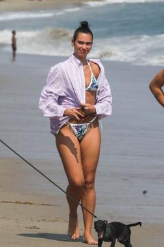Dua Lipa in a bikini walking Dexter in Malibu