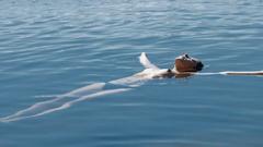 Ines Recher topless in a water at Pelicula