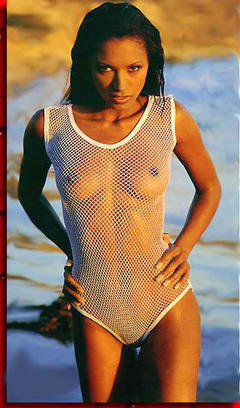 Tracy Bingham in see through fishnet swimsuit