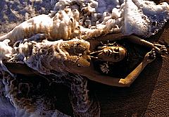 Brittany Mason nude in sea foam