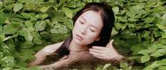 Zhang Ziyi naked at House Of Flying Daggers