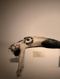 Brittany Daniel - Mermaids of Hollywood 2011