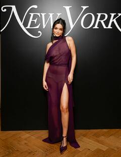 Rachel Zegler in sheer dress at New York Magazine’s The Culturati 50 Party in New York City - December 2025