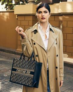 Alexandra Daddario - Dior Book Tote - January 2024