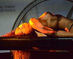 Noemie Lenoir  performs her show in the Crazy Horse Paris