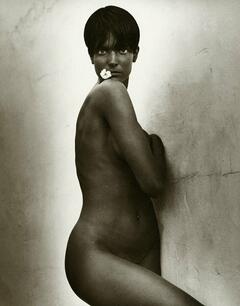 Stephanie Seymour nude but covered