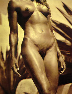 Reece Nude