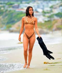 Michelle Hayden in bikini walk at the beach in Malibu