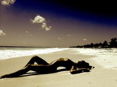 Jurgita Aglinskaite lying nude on a beach