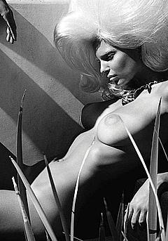 Blonde Emily Ratajkowski posing naked