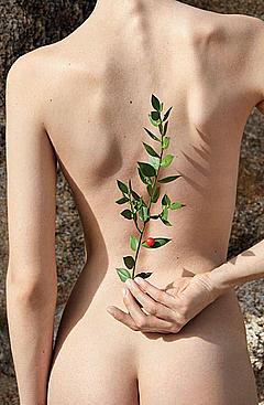 Larissa Hoffmann ass crack