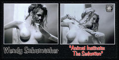 Wendy Schumacher nude boobs in Animal Instincts III