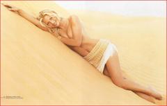 Daniela Pestova lying topless on a sand