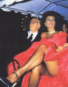 Sophia Loren upskirt
