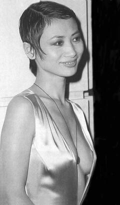 Bai Ling areola slip