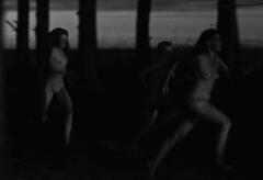 Jessica Luostarinen, Luna Karjalainen & Nina Aboutajedyne nude at The Island