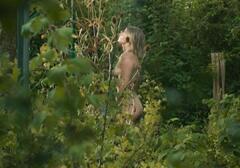 Nina Gummich naked at Theresa Wolff Waidwund