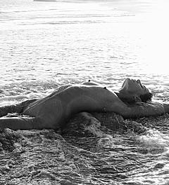 Brittany Mason fully nude in a water