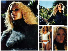 Bridgette Wilson sexy collage